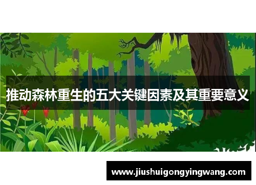 推动森林重生的五大关键因素及其重要意义 推动森林重生的五大关键因素及其重要意义