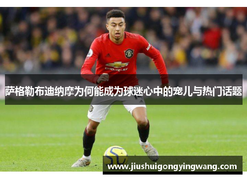 萨格勒布迪纳摩为何能成为球迷心中的宠儿与热门话题